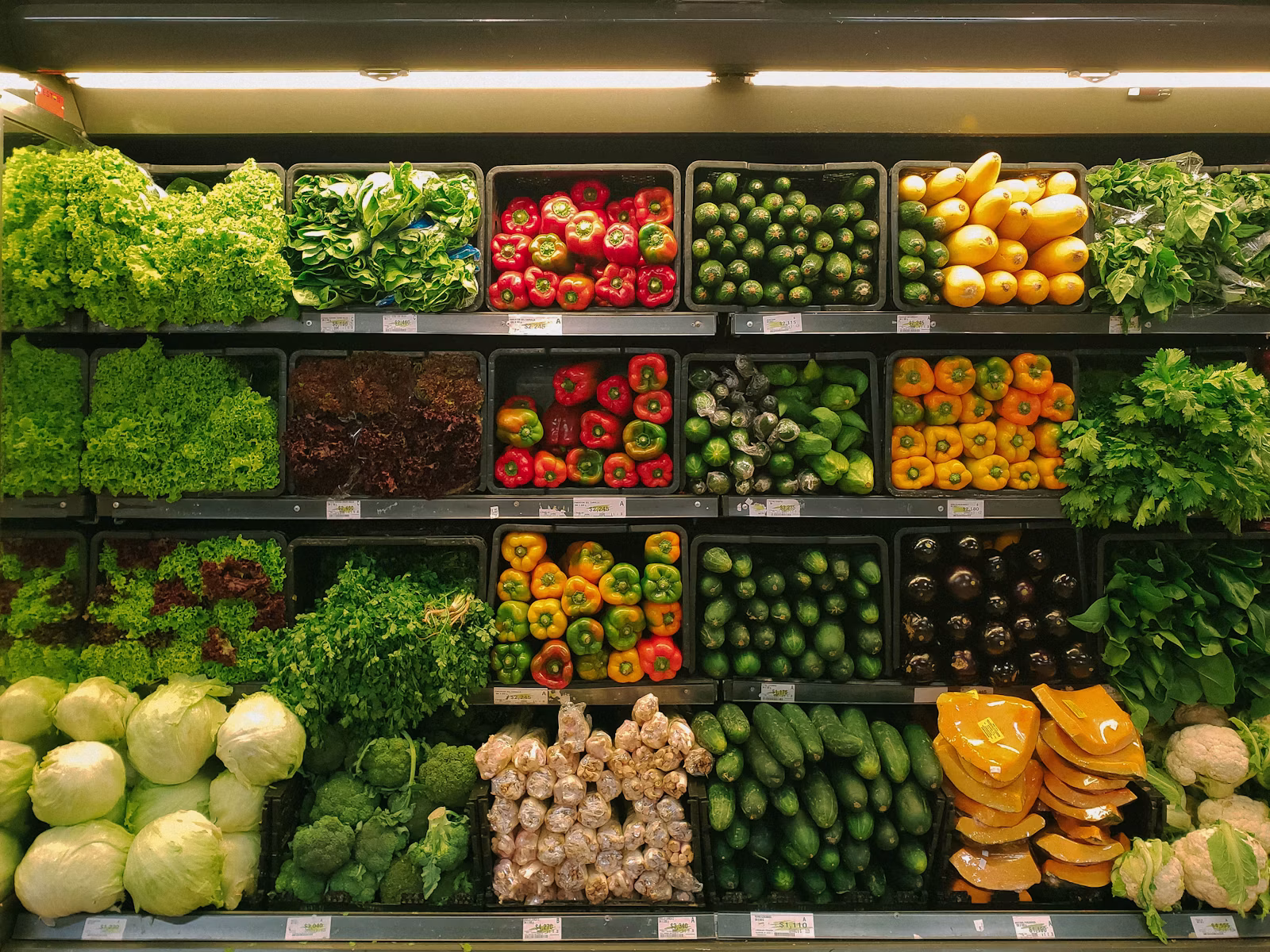 Nova Esperanca Produtos Naturais, Casa do Norte e Rotisserie LTDA